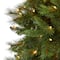 9ft. Pre-Lit West Virginia Mountain Pine Artificial Christmas Tree, Clear LED Lights